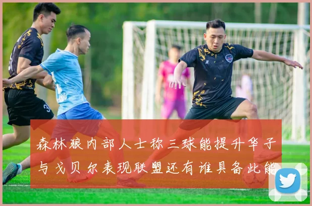 森林狼内部人士称三球能提升华子与戈贝尔表现联盟还有谁具备此能力